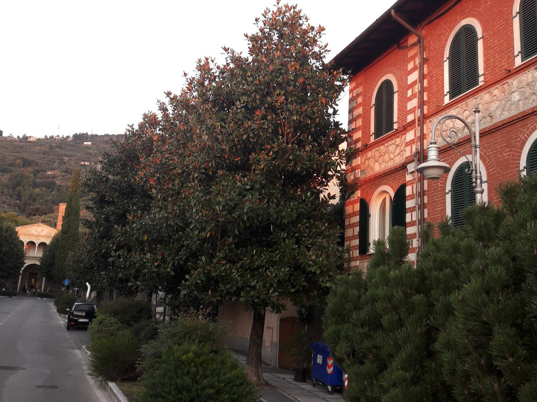 Art Hotel Pietrasanta主图