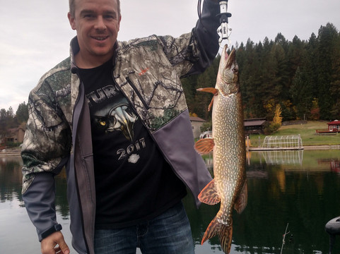 Premier Charters-科达伦必去景点