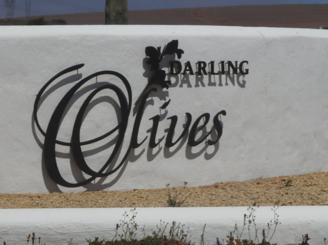 Darling Olives-Darling必去景点