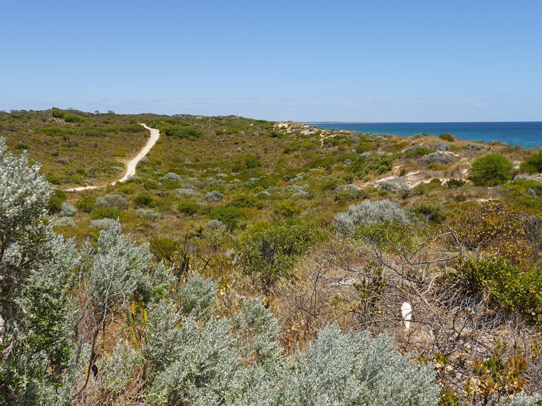 Mindalong Beach-班伯利必去景点