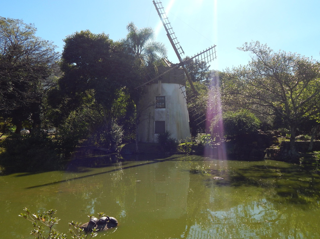 风车公园-阿雷格里港必去景点