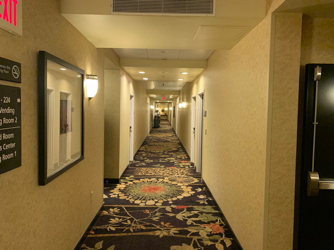Hampton Inn & Suites Greenville-Downtown-RiverPlace主图