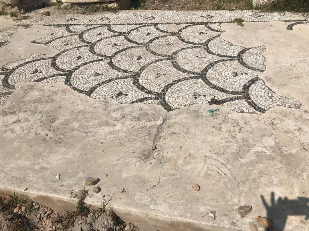 Ancient Roman Amphitheater景点图片
