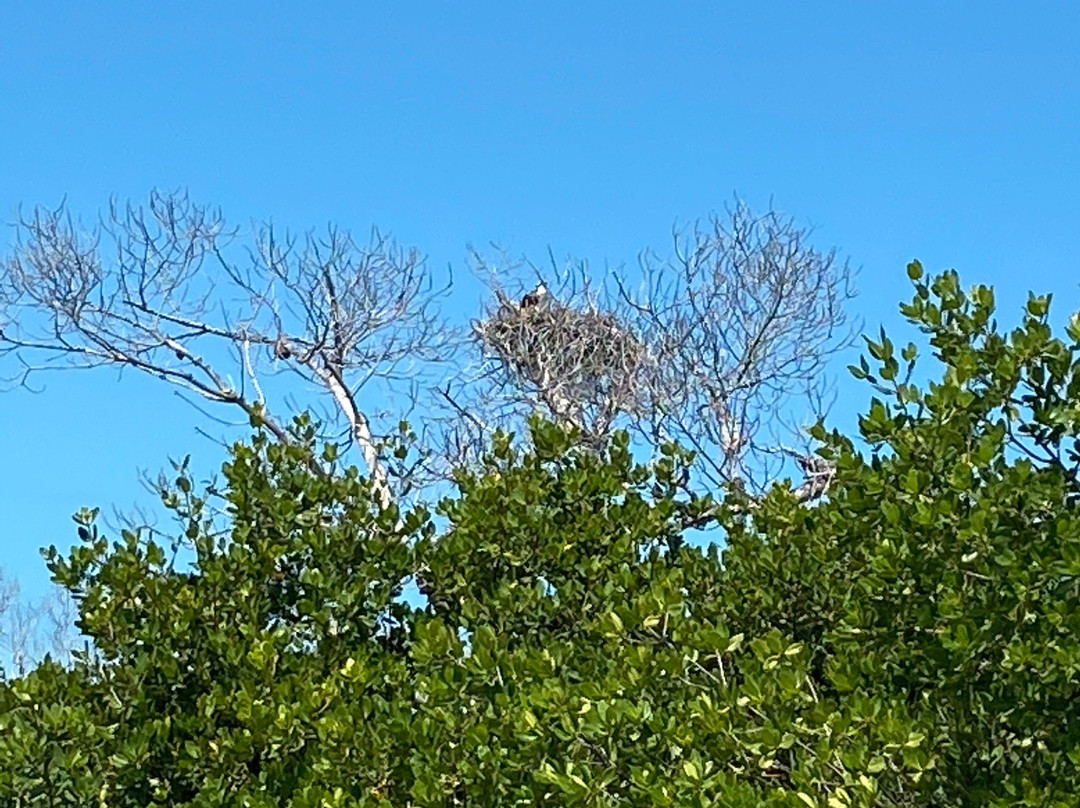 Native Guidance-Sugarloaf必去景点