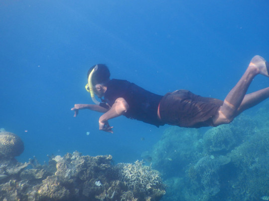 Ayo Karimun-Karimunjawa必去景点