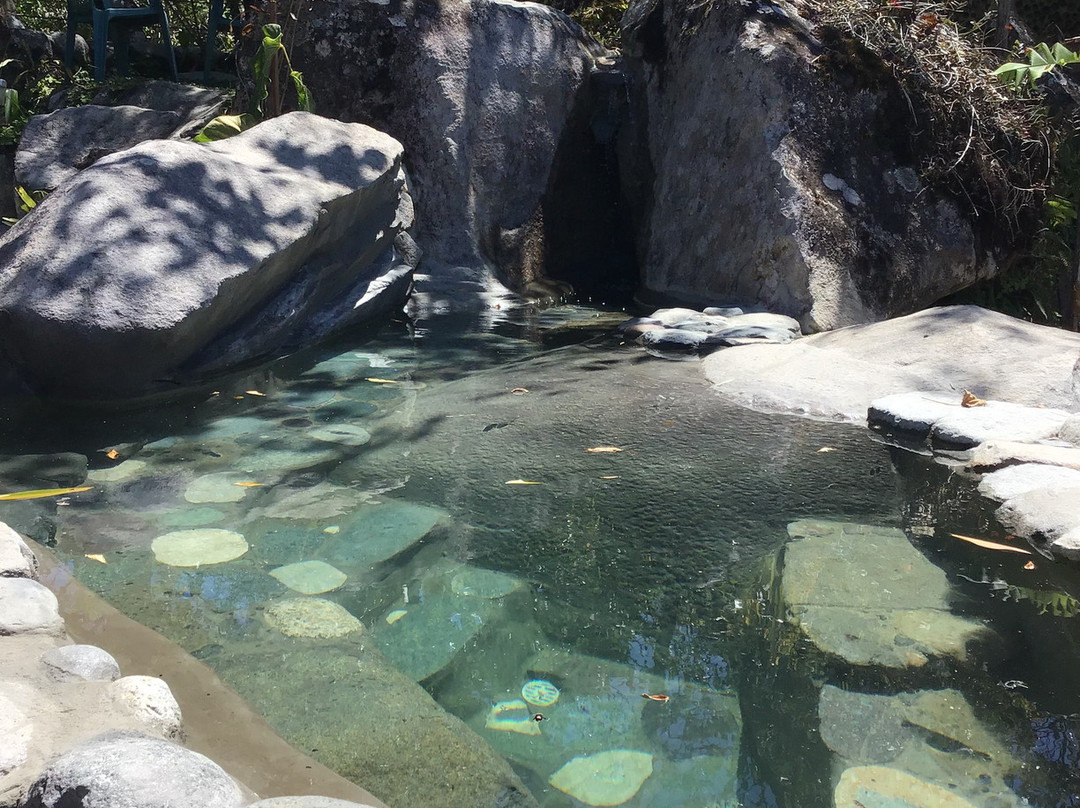 Casa Mariposa Nature Lodge主图