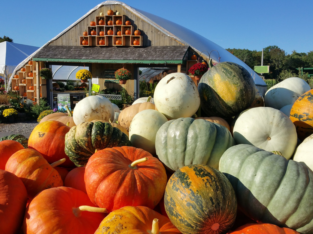 Moulton Farm-梅勒迪斯必去景点