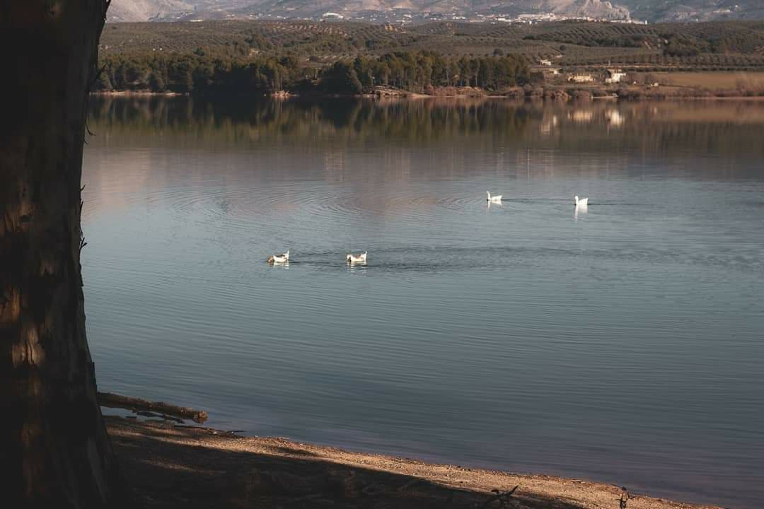 Embalse de Cubillas-Albolote必去景点
