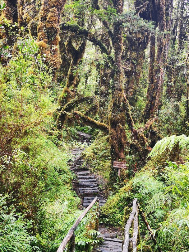Natour-Chaiten必去景点