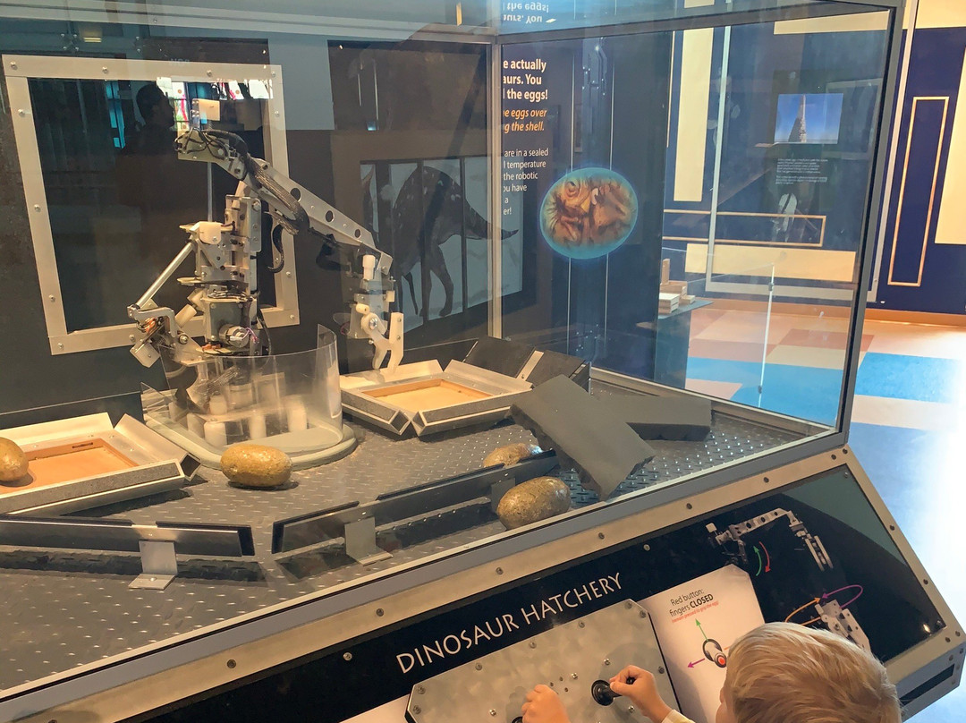 Museum of Discovery and Science-劳德代尔堡必去景点