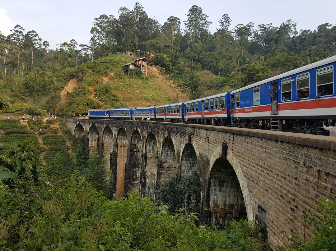 Dee Lanka Tours景点图片