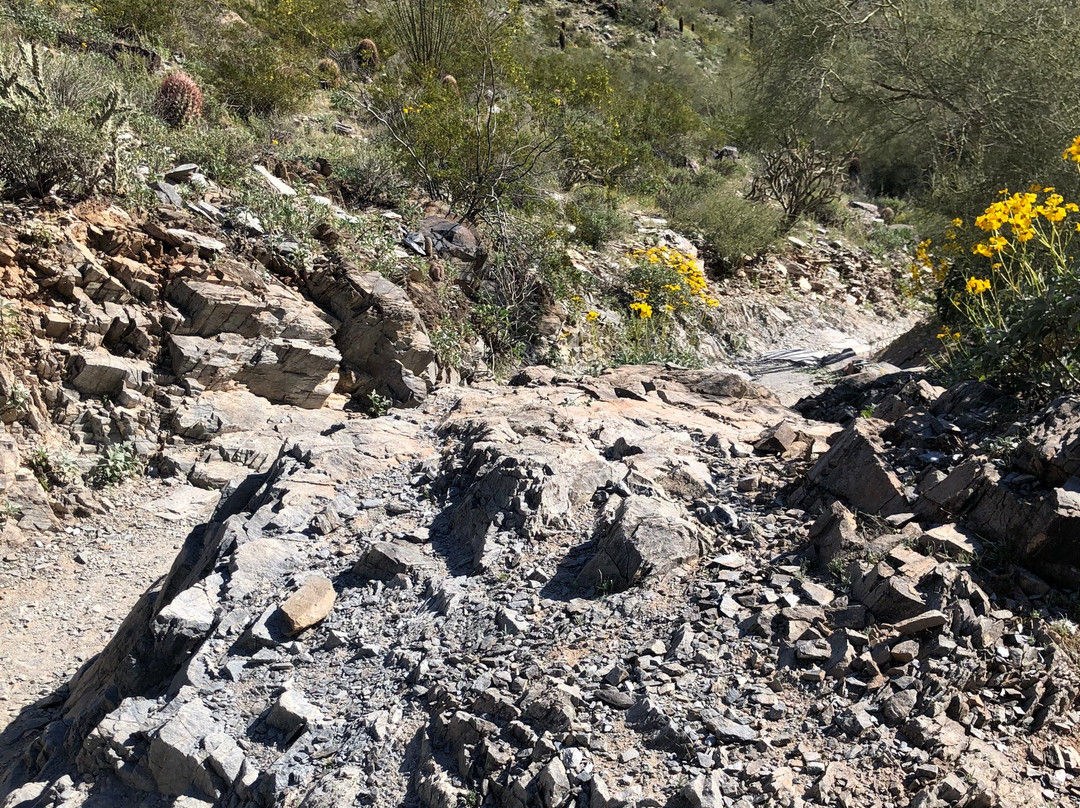 Phoenix Mountain Preserve-凤凰城必去景点