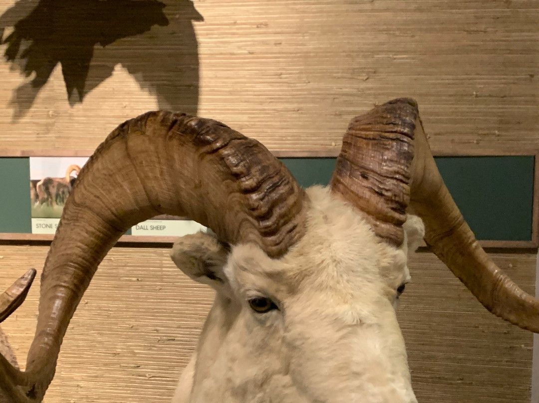 Schisler Museum of Wildlife & Natural History and McMunn Planetarium景点图片