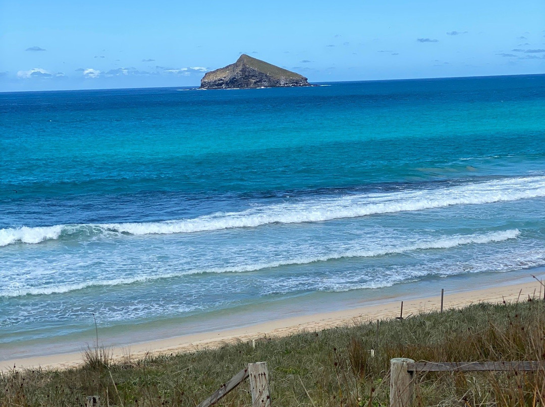 Blinky Beach-豪勋爵群岛必去景点