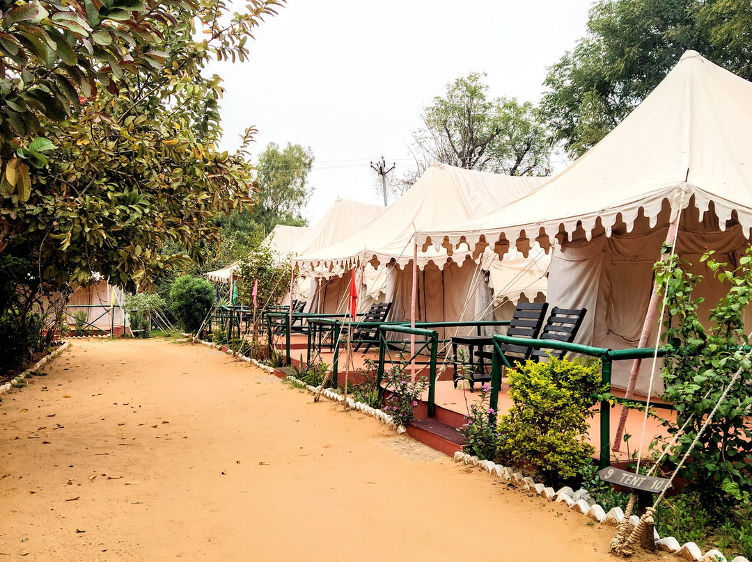 Bagh Dera Camp主图