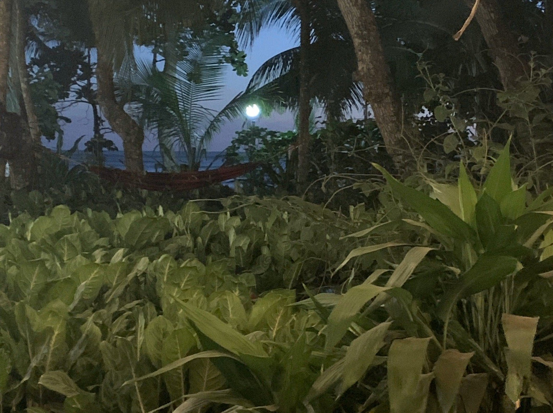 Hotel Rancho Coral主图