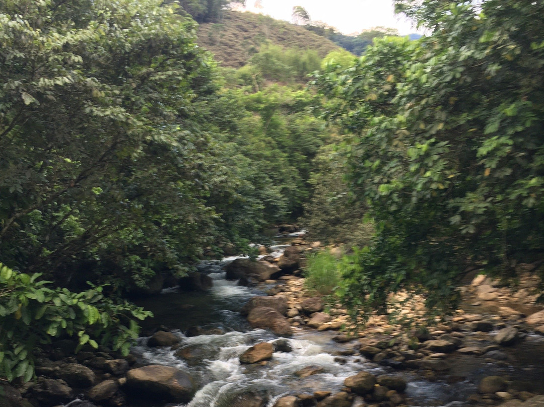 Aldeia Velha-Silva Jardim必去景点