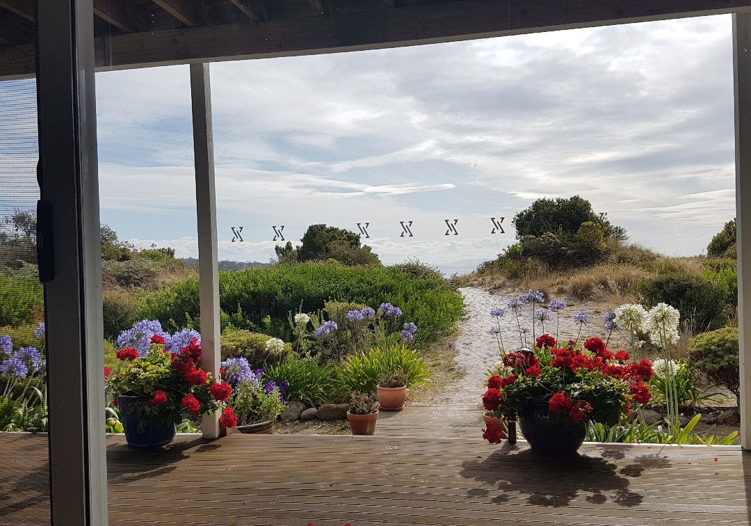 海滩竖琴手酒店主图