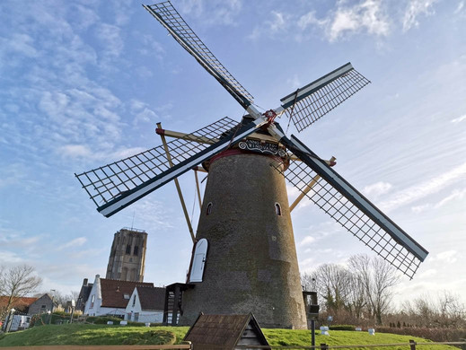 Molen De Windvang-Goedereede必去景点