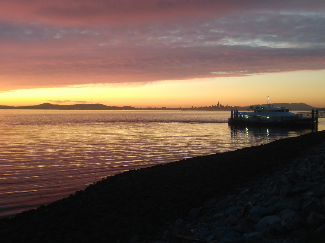 Shoreline Park景点图片