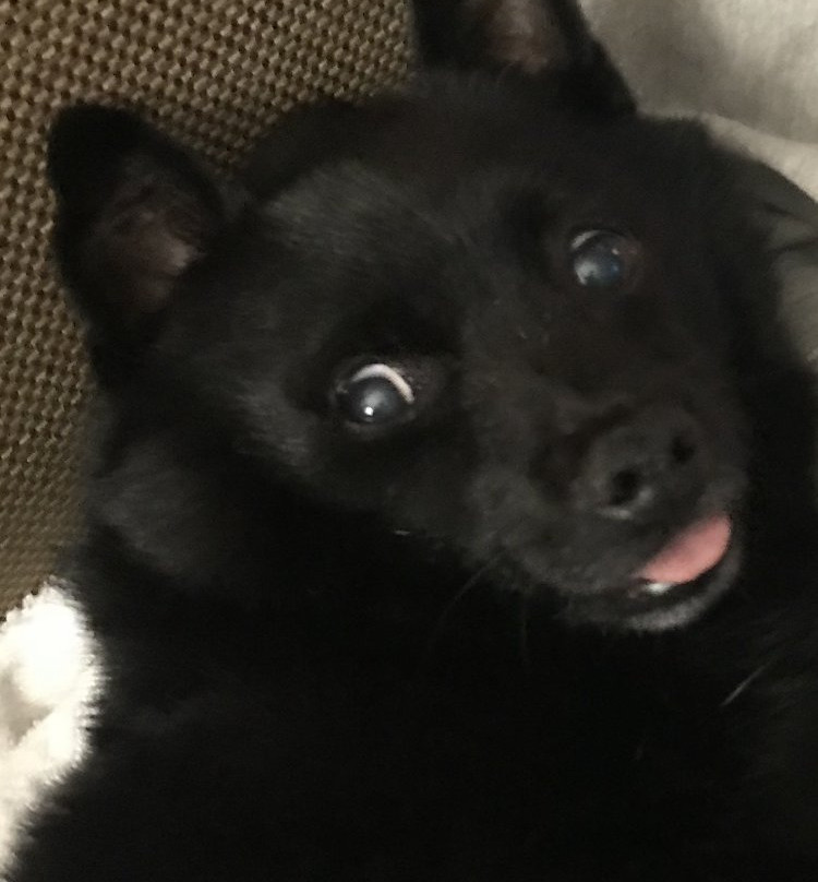 Extended Stay America - Seattle - Everett - Silverlake主图