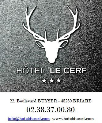 Logis Hôtel du Cerf主图