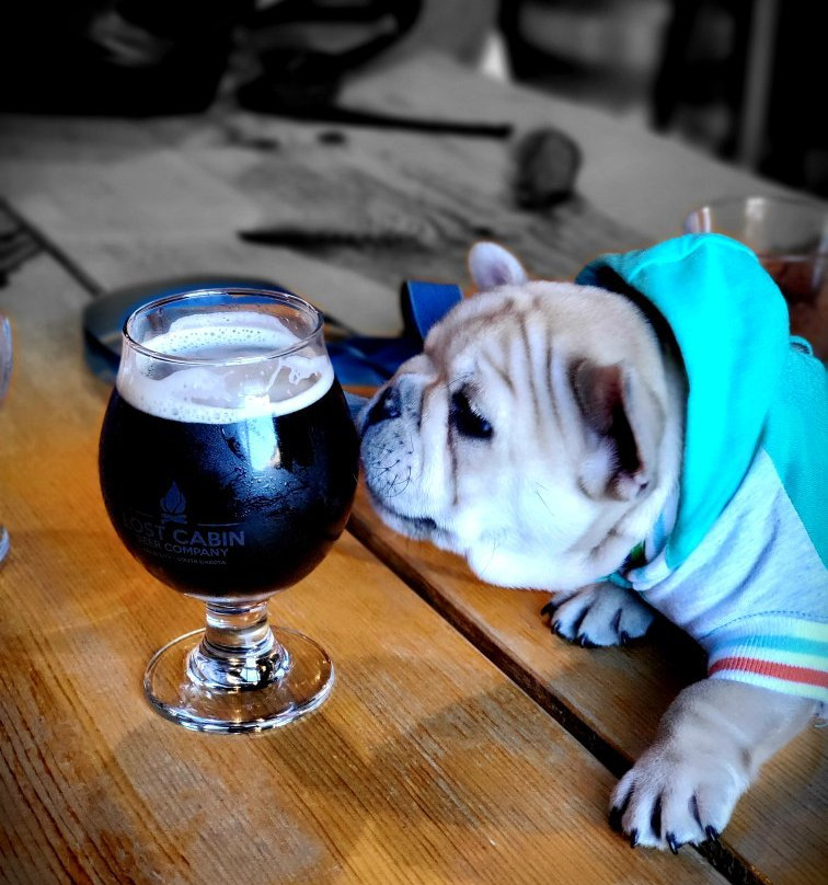 Lost Cabin Beer Co.-拉皮德城必去景点