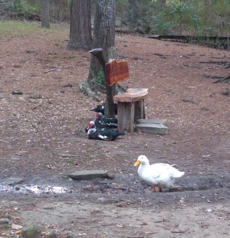 Sam Houston Memorial Museum-Huntsville必去景点