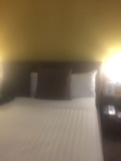 宜必思奥克兰艾勒斯利酒店主图