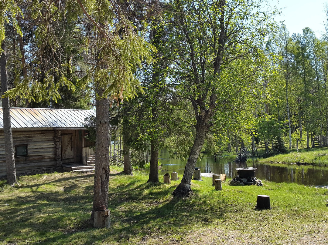Poro-Panuma Reindeer Farm-Pudasjarvi必去景点