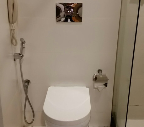 The Central Residency主图