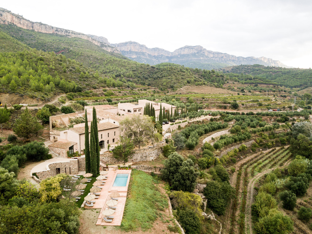 Celler Terra Dominicata - DOQ PRIORAT景点图片