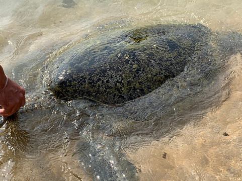 M.P.Holiday Tours Sri Lanka-卡卢特勒必去景点