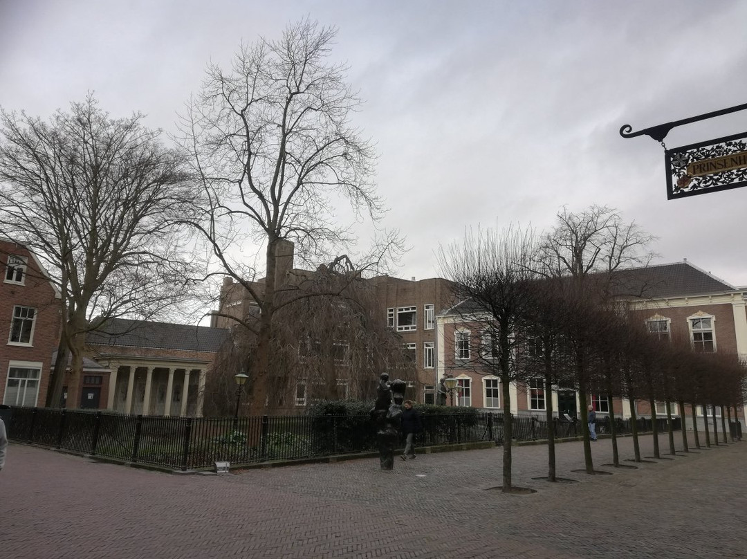 Hofjeswandeling in Haarlem景点图片