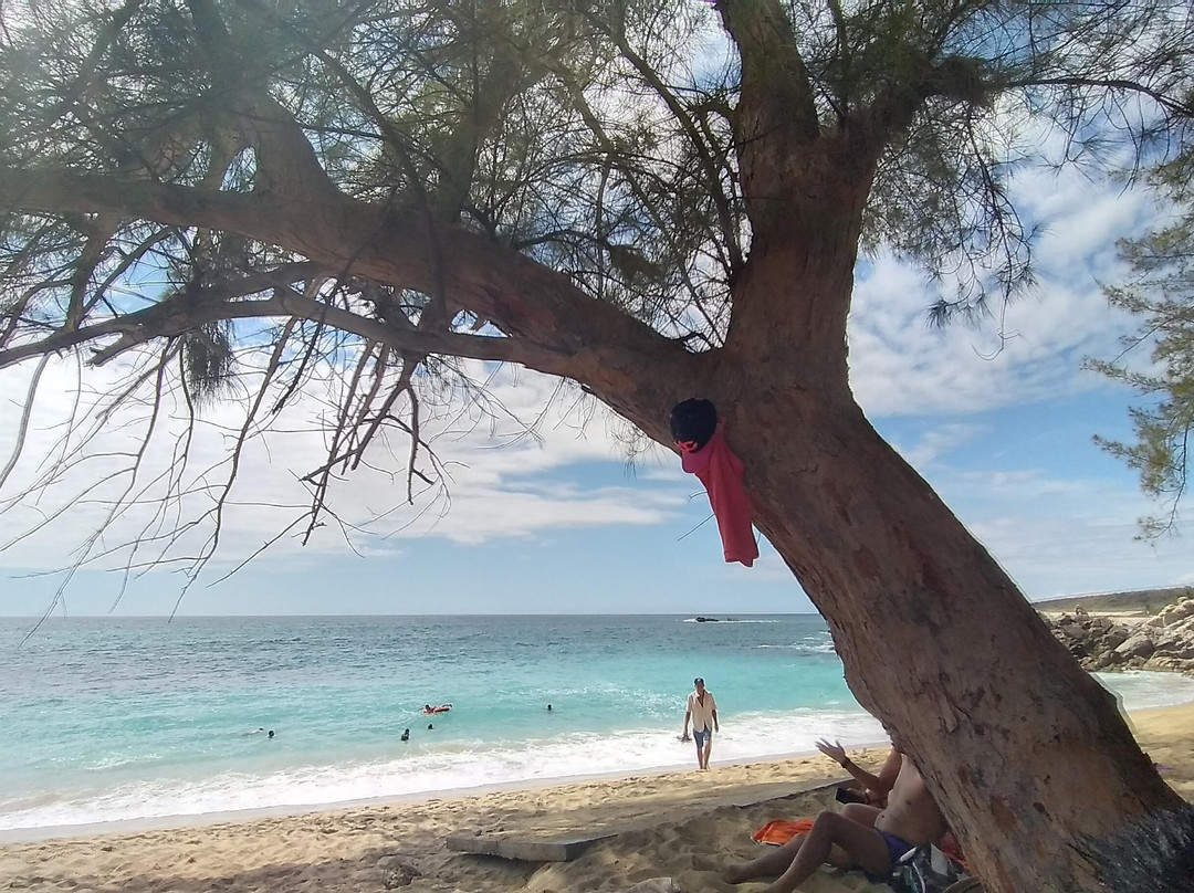Zipolite al desnudo-Zipolite必去景点