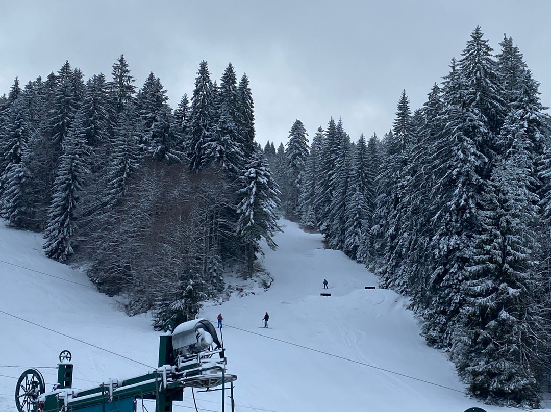 Gerardmer Ski-热拉尔德梅必去景点