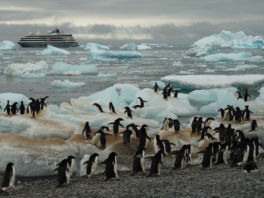 Brown Bluff-Antarctic Peninsula必去景点