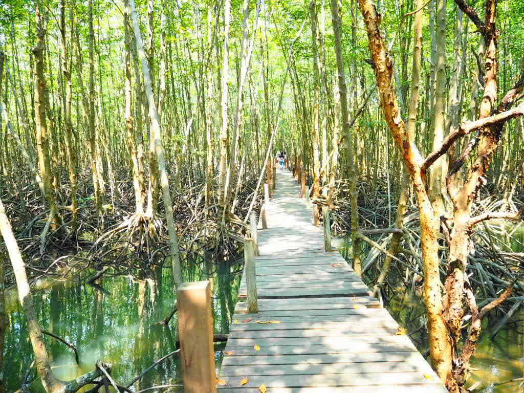 Tung Prong Thong-Ban Pak Nam Krasae必去景点