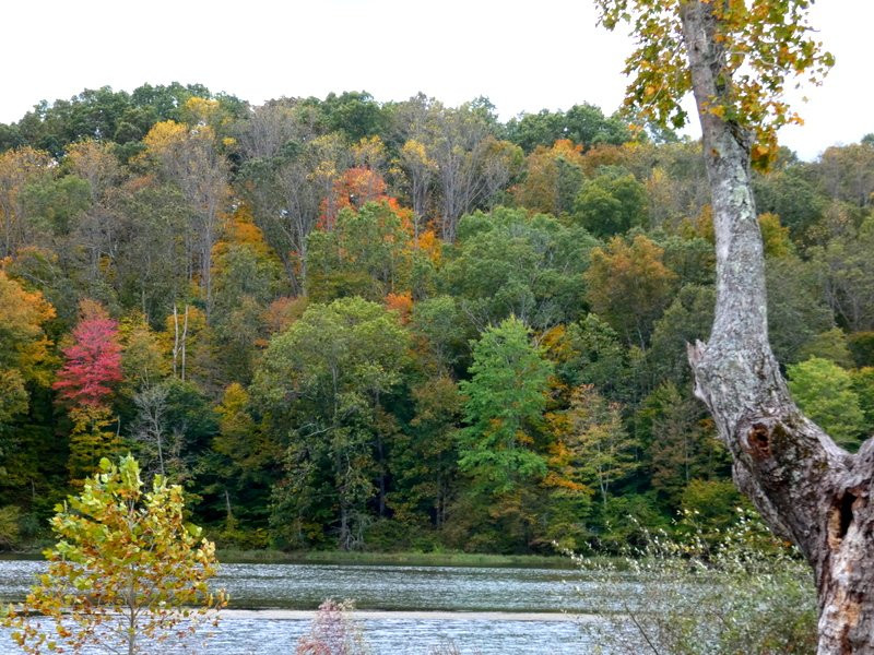 Yellowwood State Forest-纳什维尔必去景点