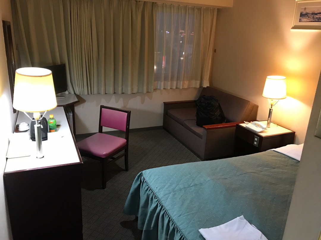 Hotel Sunny Inn主图