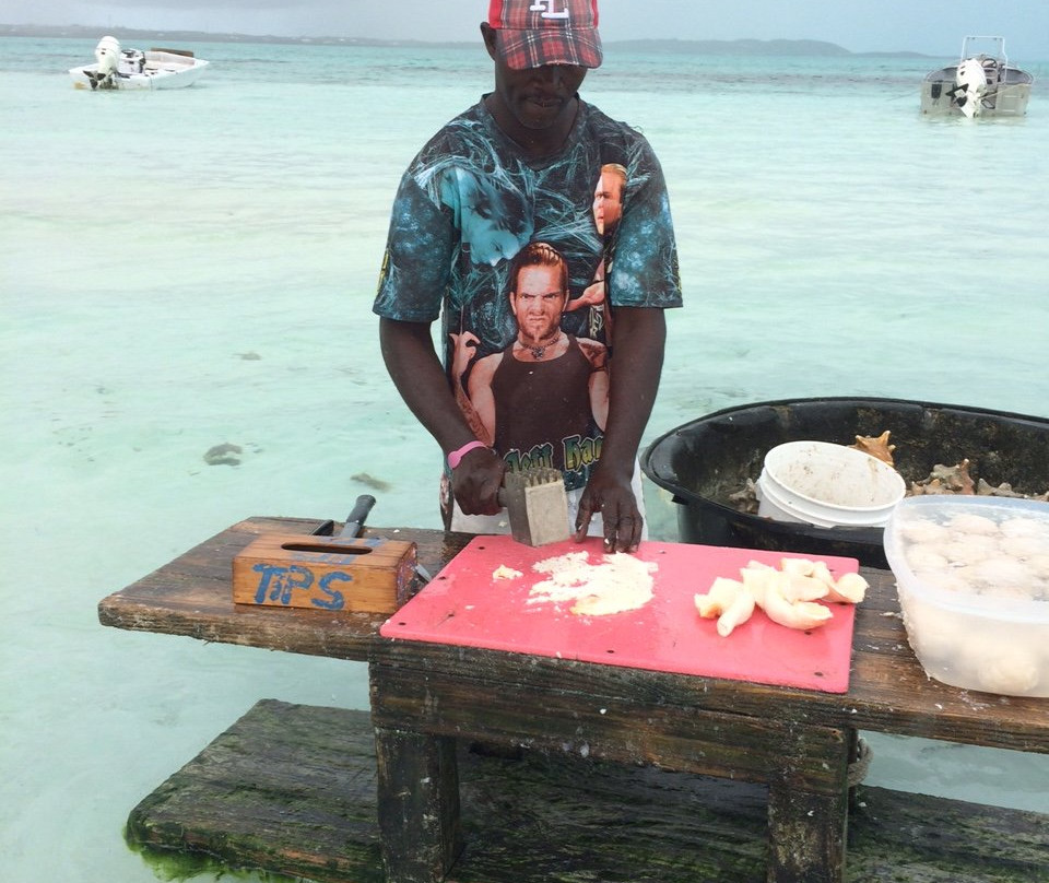 Northwest Point Resort主图