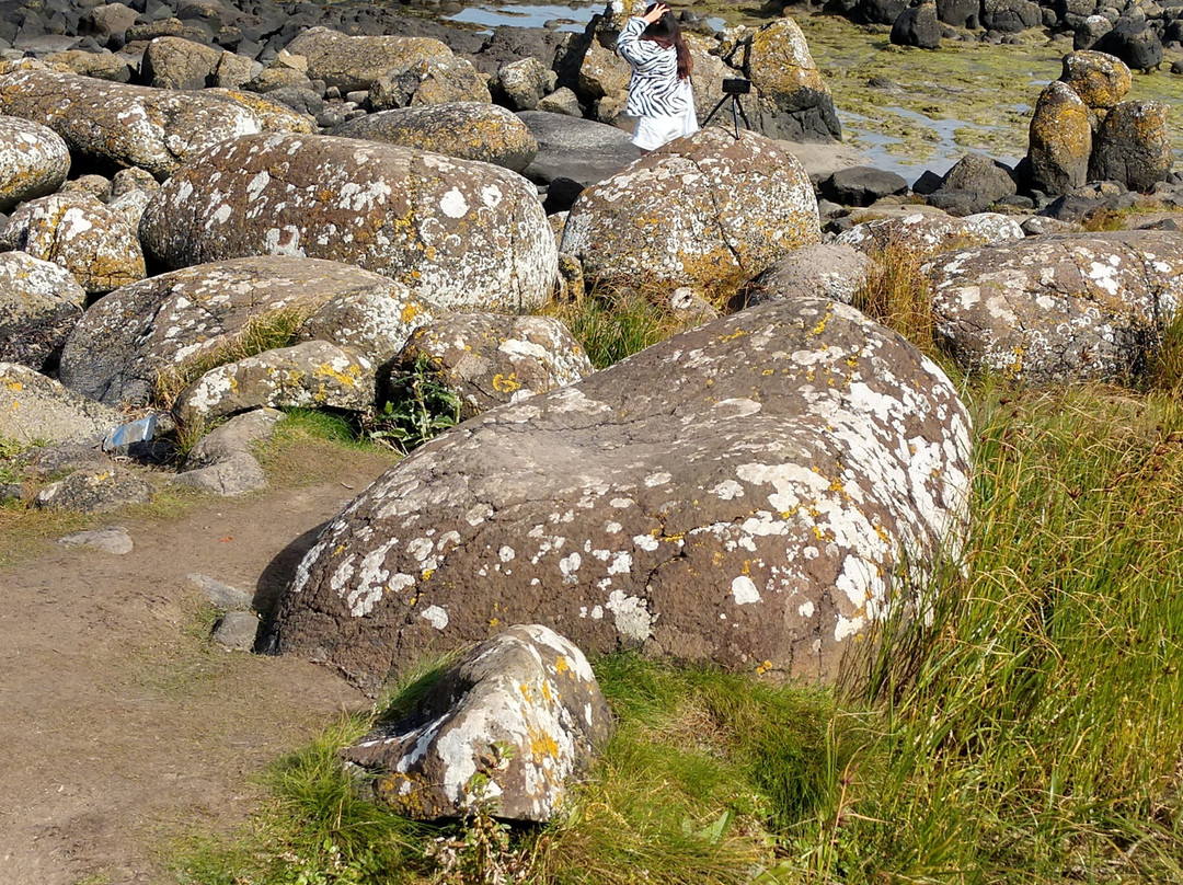 Causeway Coastal Walk景点图片