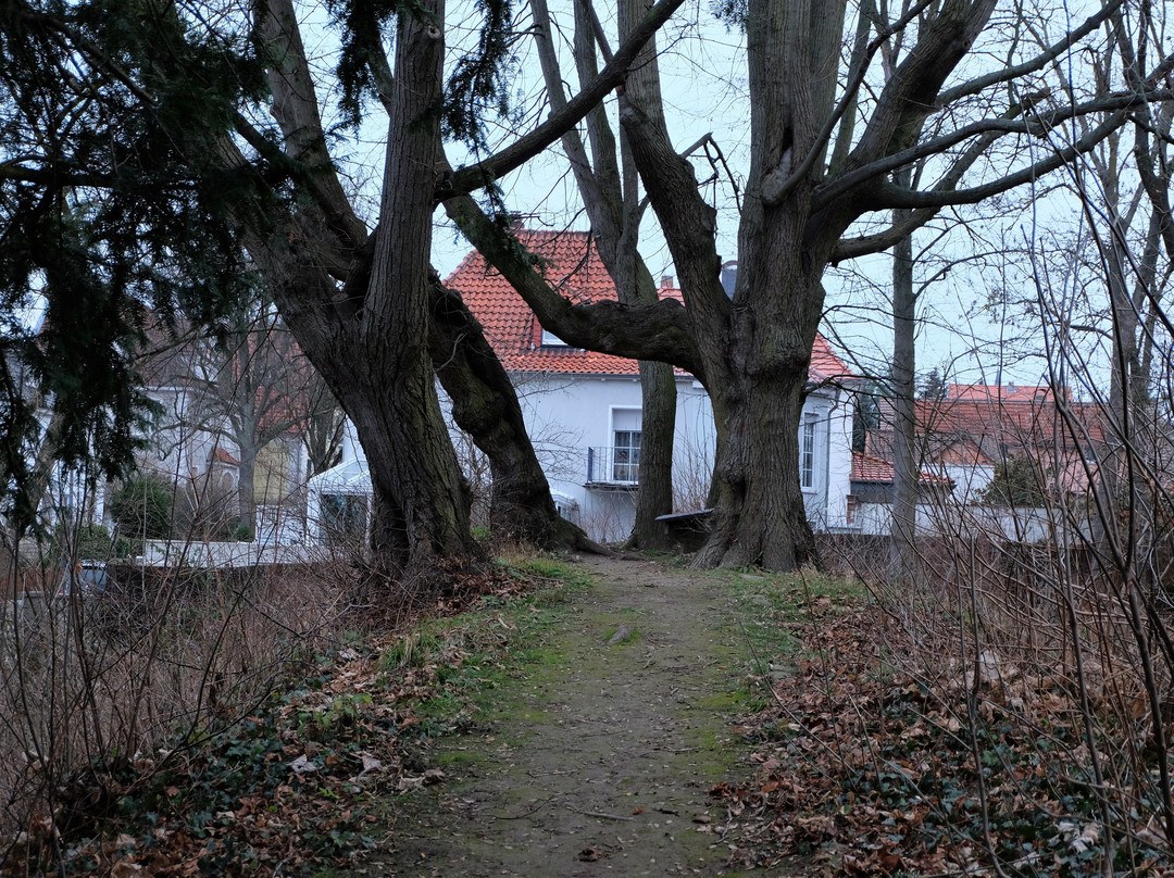 Schoeninger Wallgarten景点图片