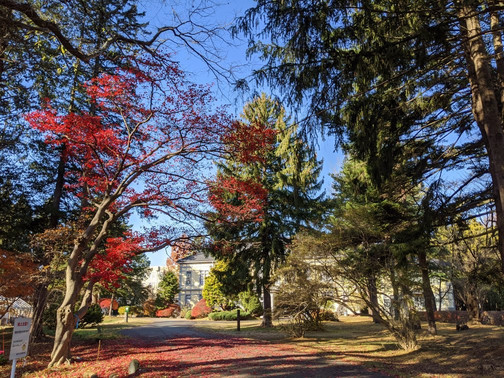 Iwate University Agricultural Education Museum-盛冈市必去景点