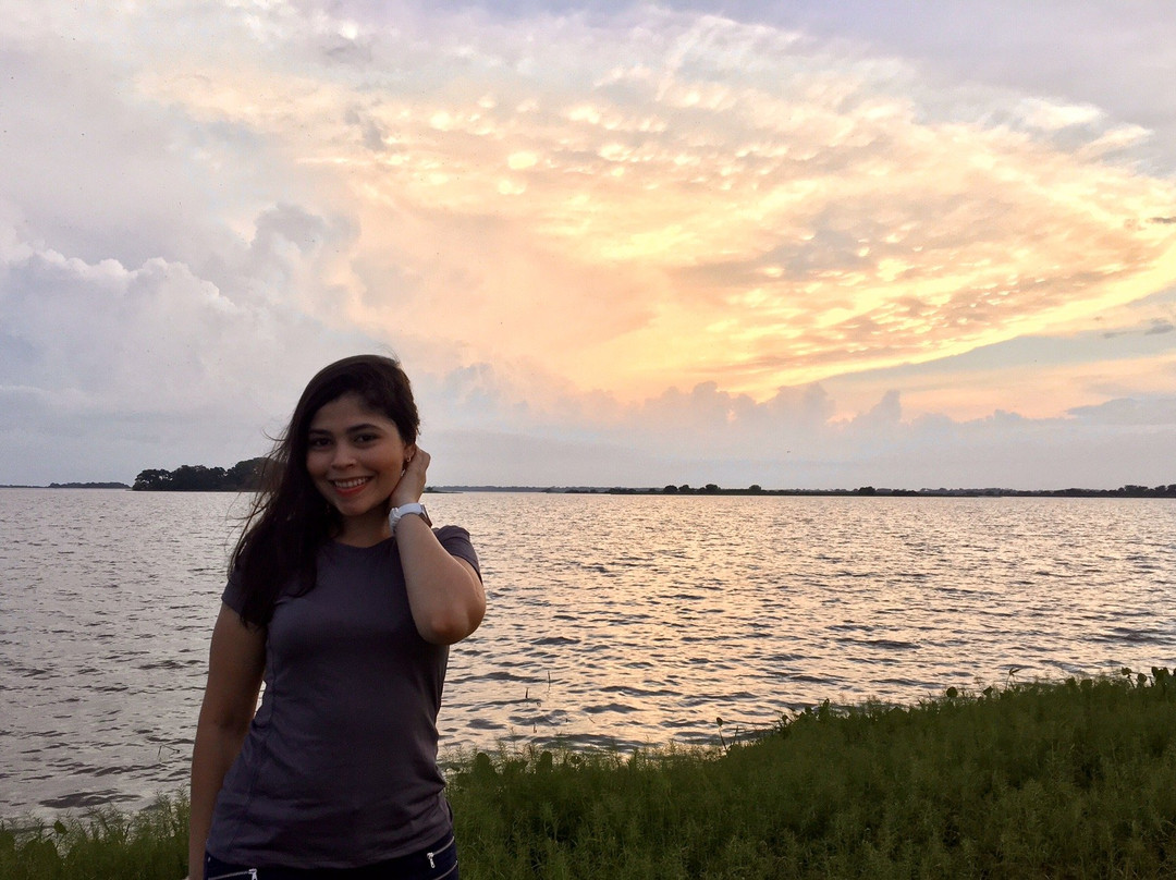 MIrador Turistico Cienaga De Zapatosa-Chimichagua必去景点