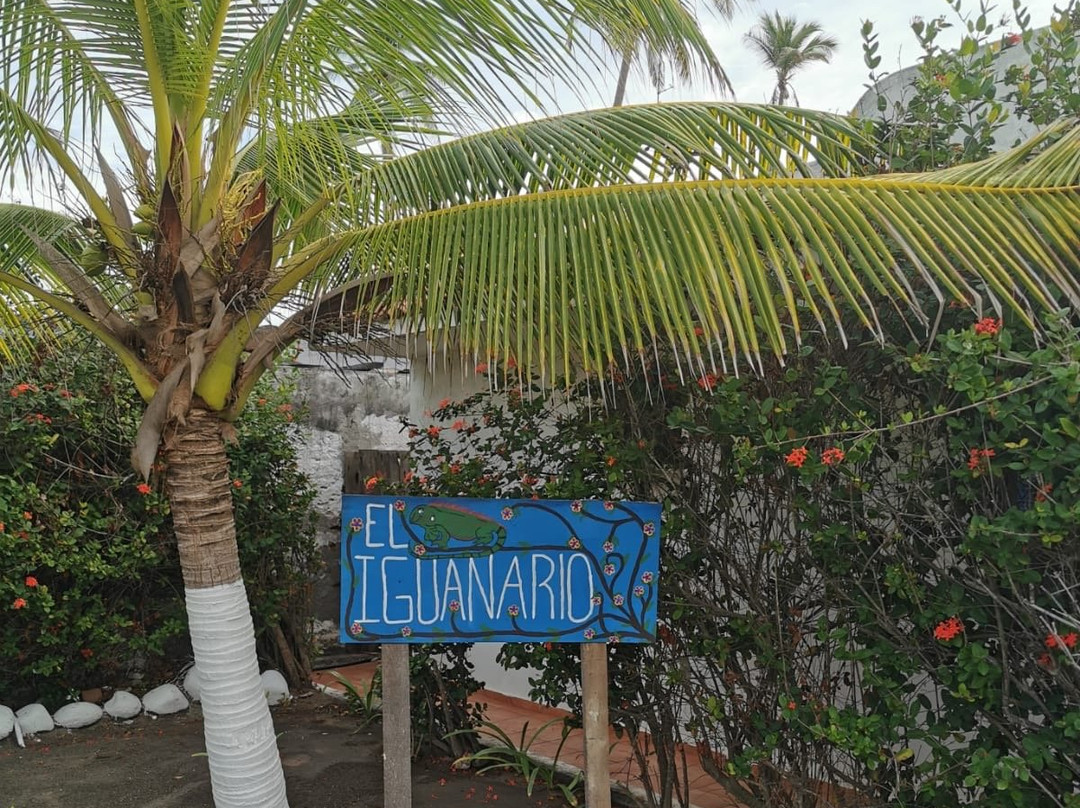 El Tortugugario-Cuyutlan必去景点