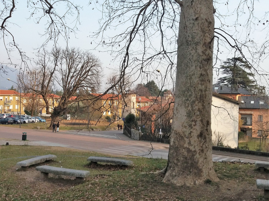 Villa Amalia-埃尔巴必去景点