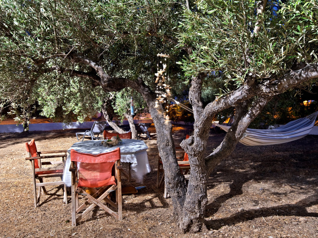 New Aurora Apts Studios主图