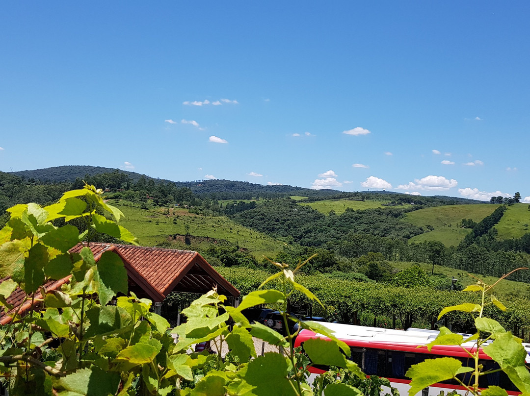 Vinicola Bella Aurora-Sao Roque必去景点