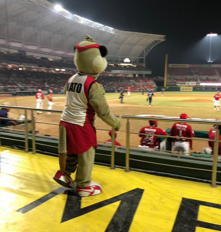 Teodoro Mariscal Baseball Stadium-马萨特兰必去景点